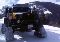 Red-Bull-American-Track-Truck-Dominator-XL-Signature-Series-Cold-Rush-2012.jpg